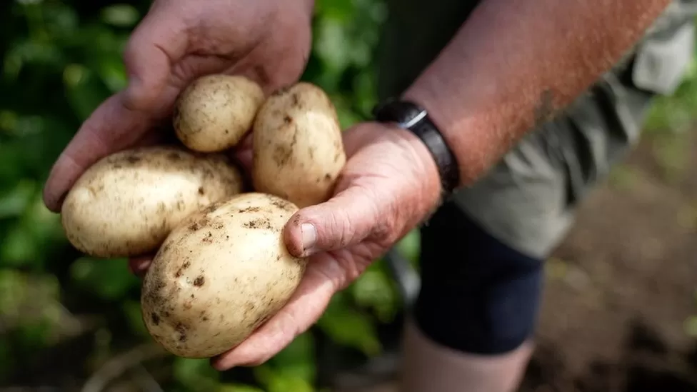 growing food