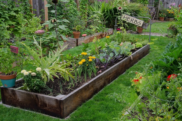 herb garden