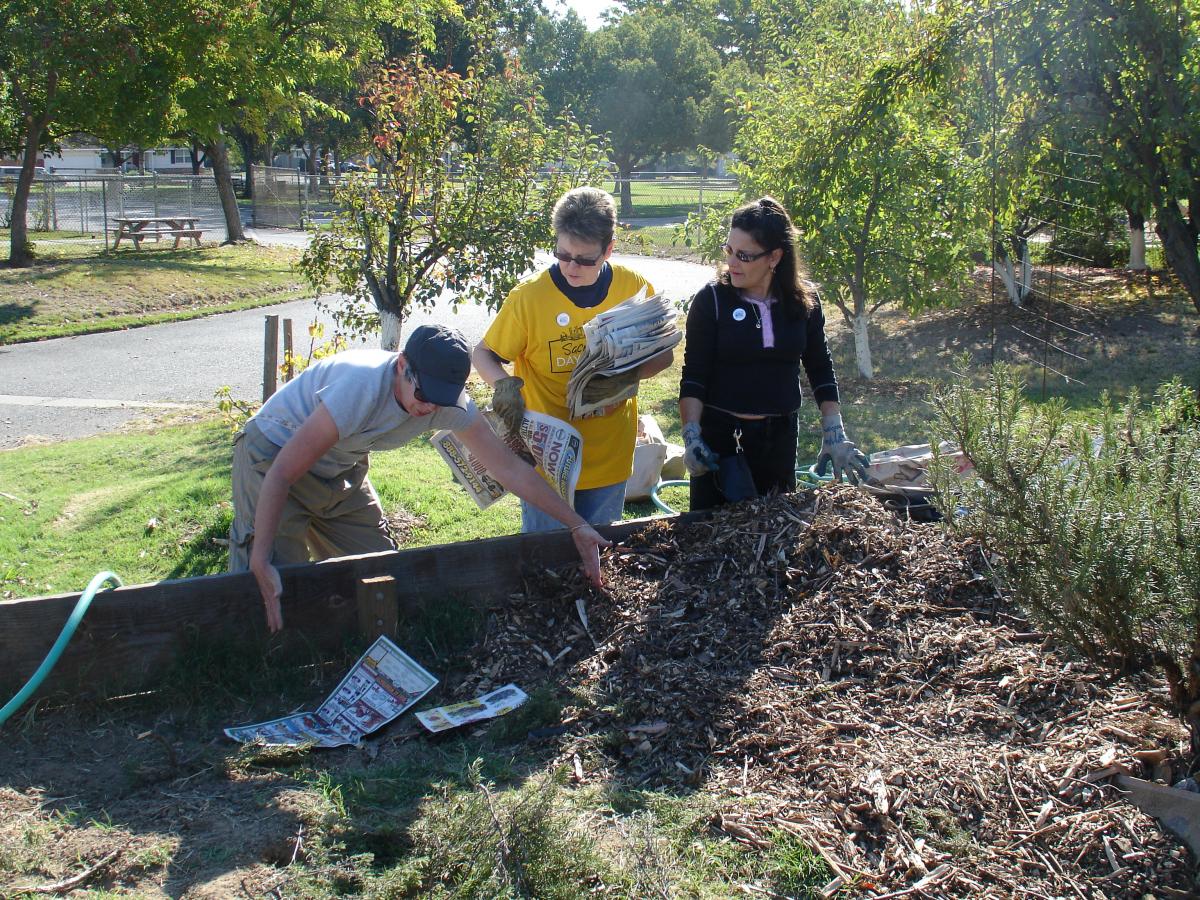 planting vegetables